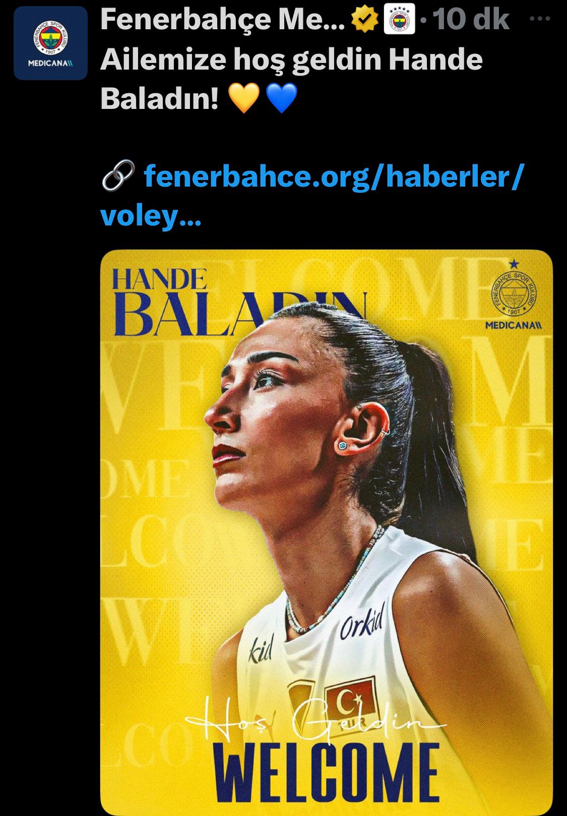 fenerbahçe transfer, fenerbahçe hande baladın transfer,