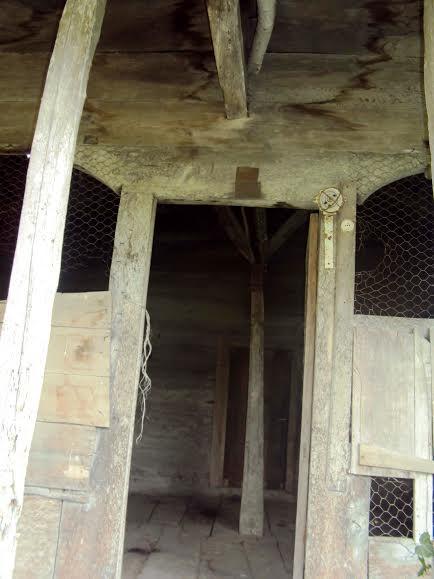 samsun kuşhane